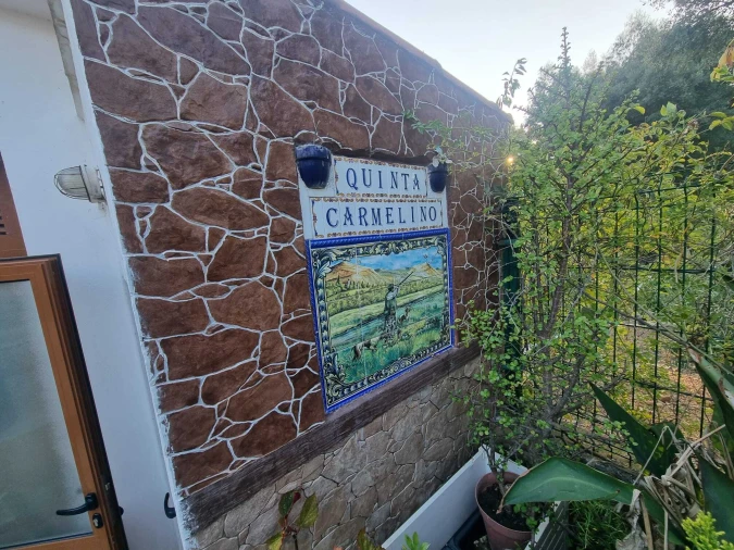 Terreno para Venda em Pedrogão Pequeno Foto 7