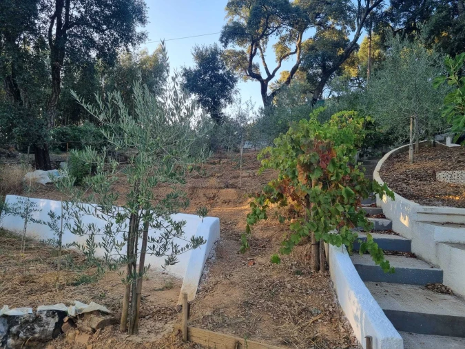 Terreno para Venda em Pedrogão Pequeno Foto 10