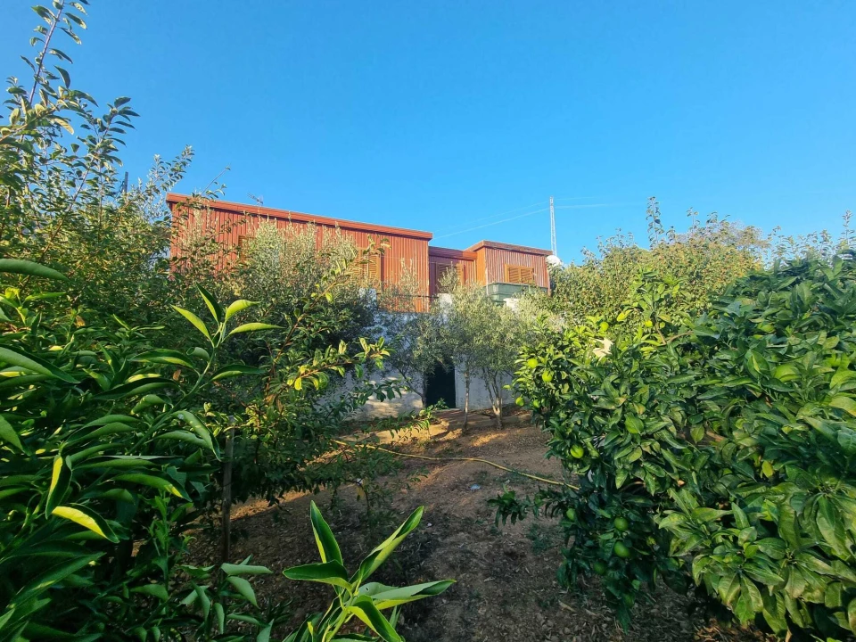 Terreno para Venda em Pedrogão Pequeno Foto 8