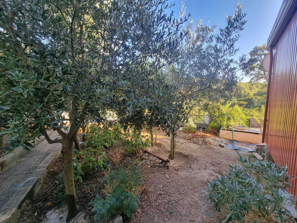 Terreno para Venda em Pedrogão Pequeno Foto 5