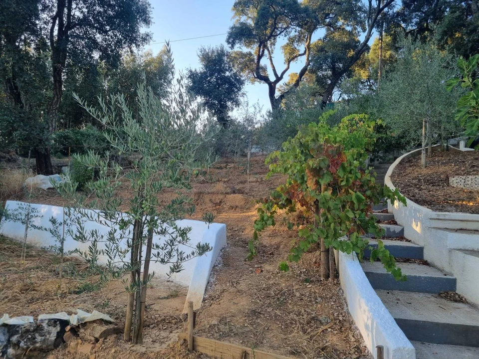 Terreno para Venda em Pedrogão Pequeno Foto 10