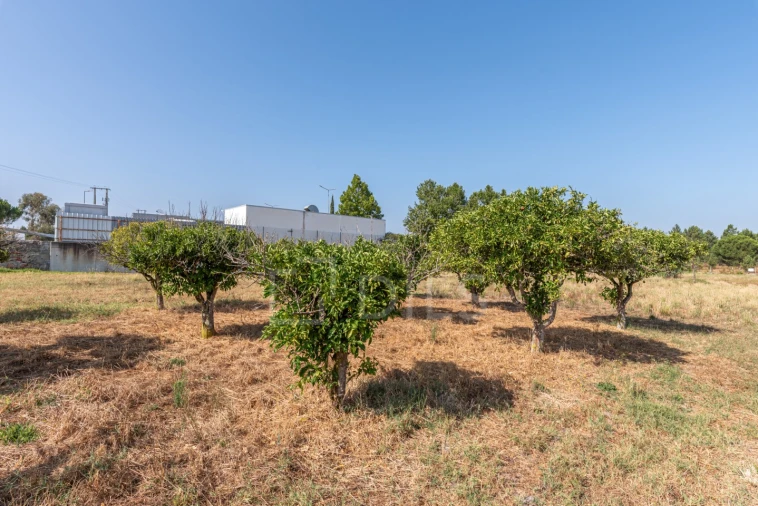 Terreno para Venda em Grândola e Santa Margarida da Serra Foto 13