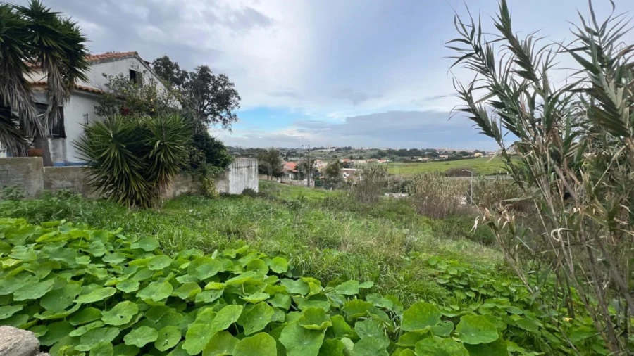 Terreno para Venda em Caparica e Trafaria Foto 12