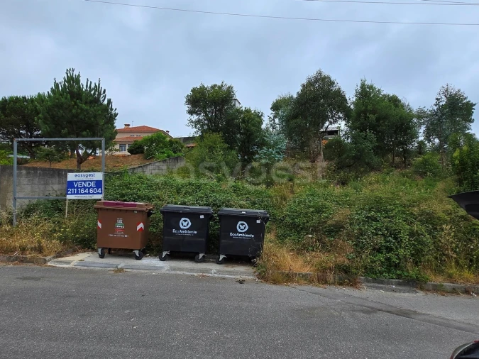 Terreno Agricola ou Rústico para Venda em Oiã Foto 6