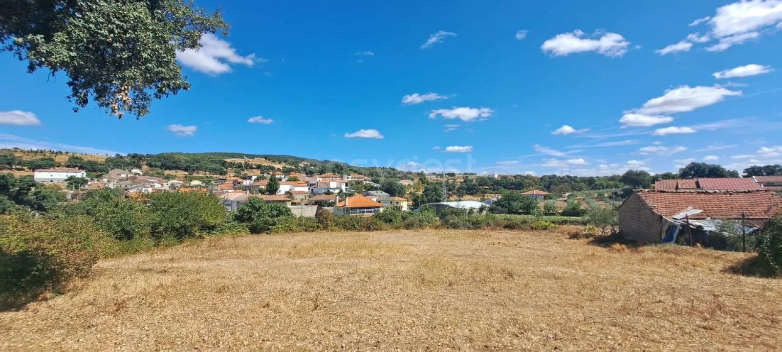 Moradia T3 para Venda em Mogadouro, Valverde, Vale de Porco e Vilar de Rei Foto 8