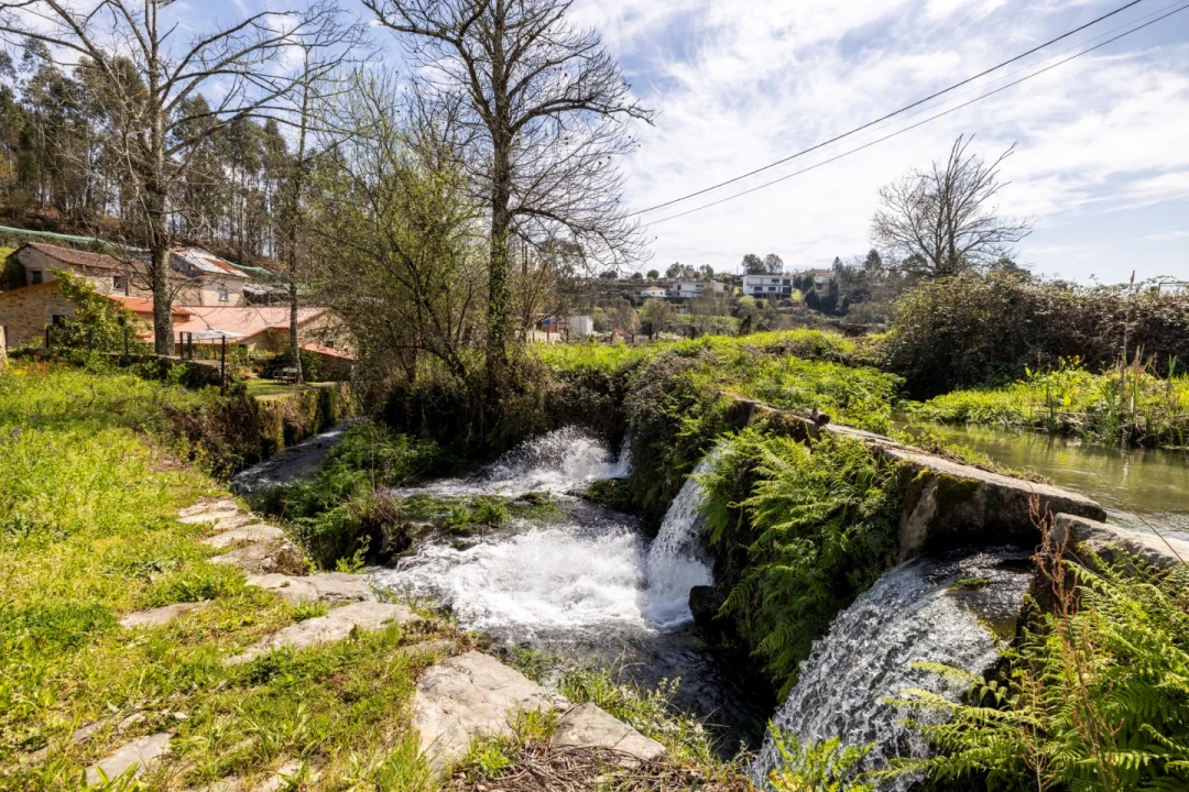 Quinta T4 para Venda em Moure Foto 39