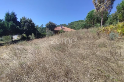 Terreno para Venda em Santos Evos