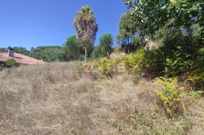 Terreno para Venda em Santos Evos