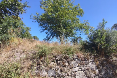 Terreno para Venda em Santos Evos