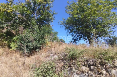 Terreno para Venda em Santos Evos