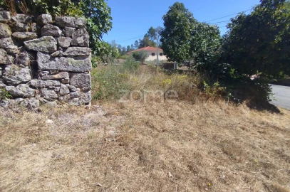 Terreno para Venda em Santos Evos