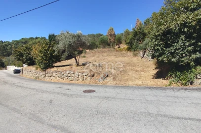 Terreno para Venda em Santos Evos