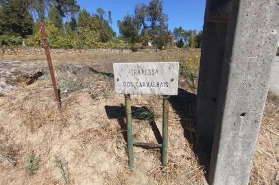 Terreno para Venda em Santos Evos