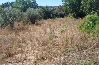 Terreno para Venda em Santos Evos