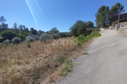 Terreno para Venda em Santos Evos