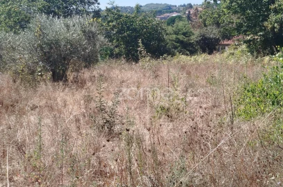 Terreno para Venda em Santos Evos