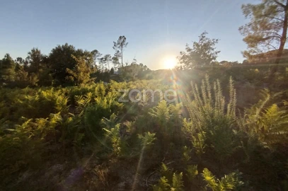 Terreno para Venda em Santos Evos
