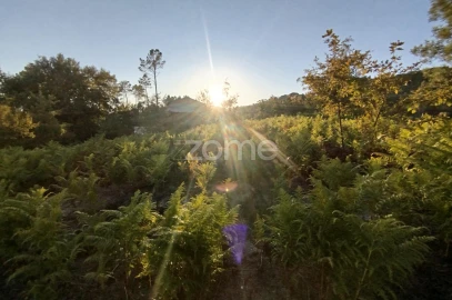 Terreno para Venda em Santos Evos
