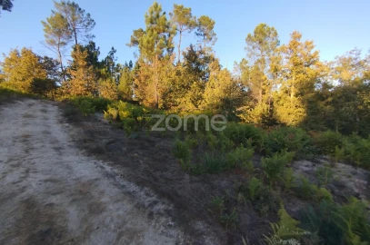 Terreno para Venda em Santos Evos