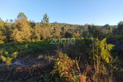 Terreno para Venda em Santos Evos