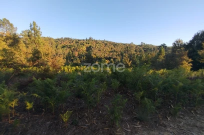 Terreno para Venda em Santos Evos