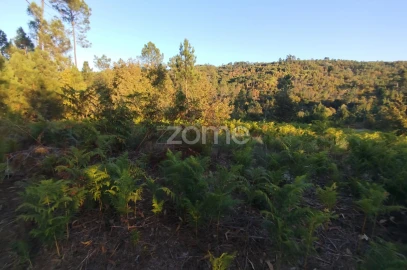 Terreno para Venda em Santos Evos