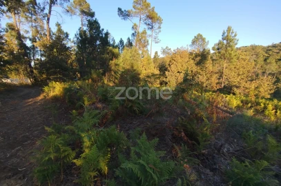 Terreno para Venda em Santos Evos