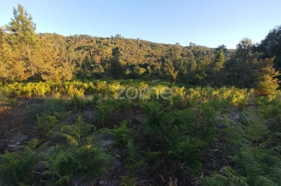 Terreno para Venda em Santos Evos