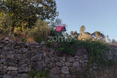Terreno para Venda em Santos Evos