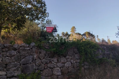 Terreno para Venda em Santos Evos