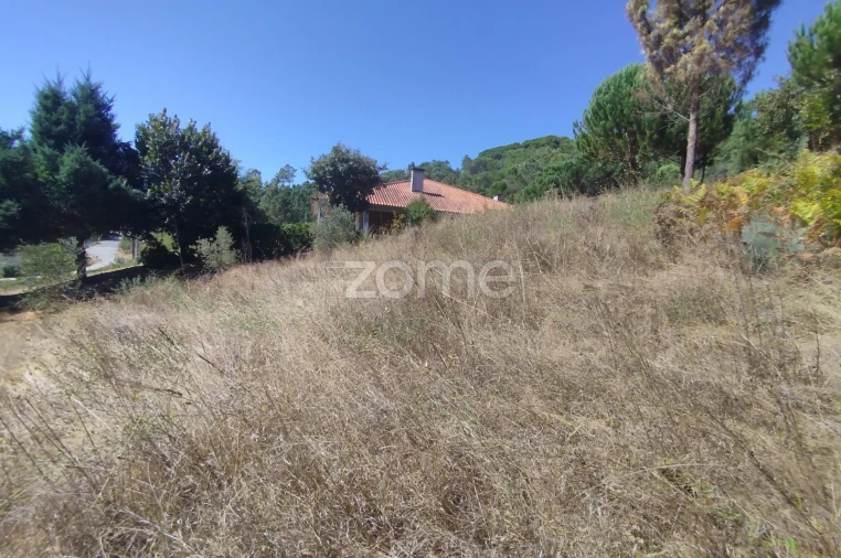 Terreno para Venda em Santos Evos Foto 4