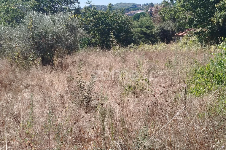 Terreno para Venda em Santos Evos Foto 27