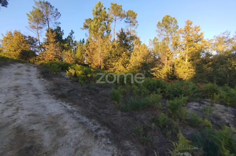 Terreno para Venda em Santos Evos Foto 39