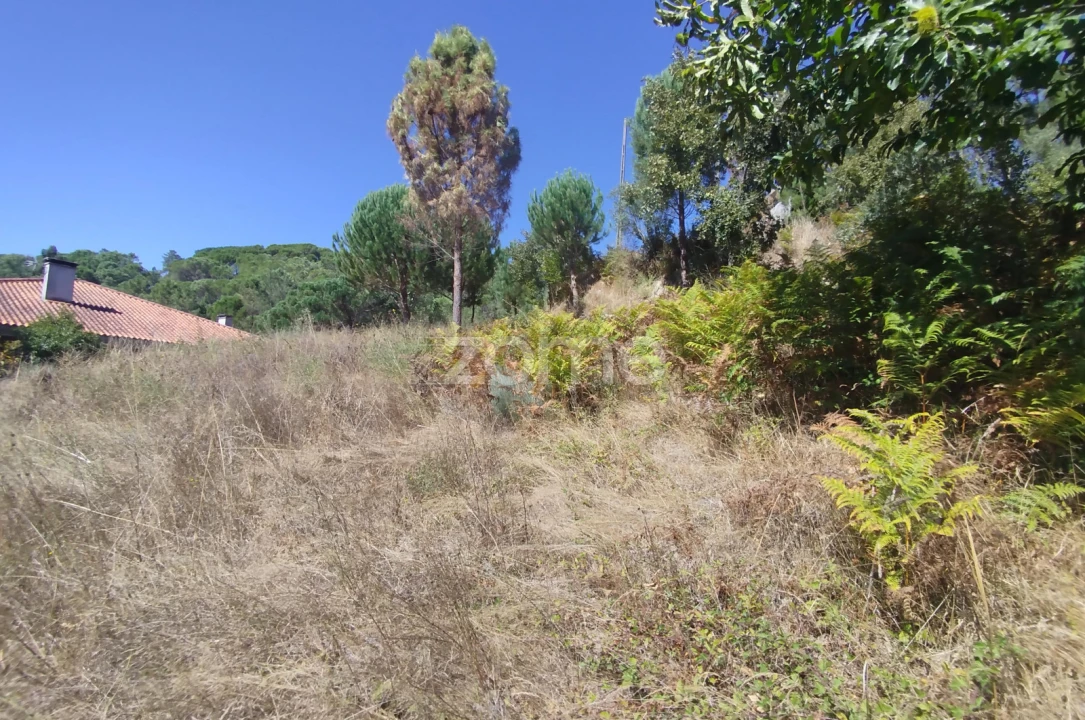 Terreno para Venda em Santos Evos Foto 6
