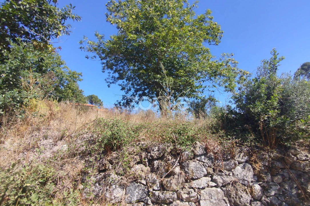 Terreno para Venda em Santos Evos Foto 7