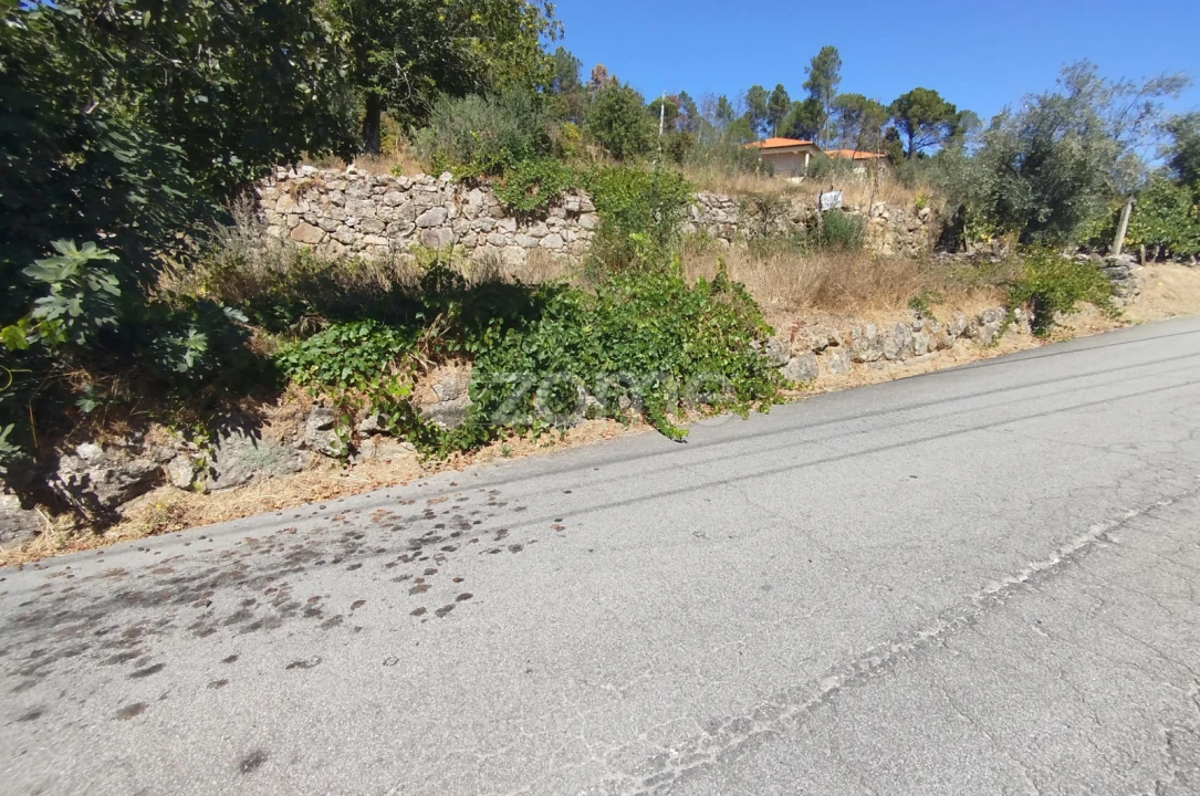 Terreno para Venda em Santos Evos Foto 1