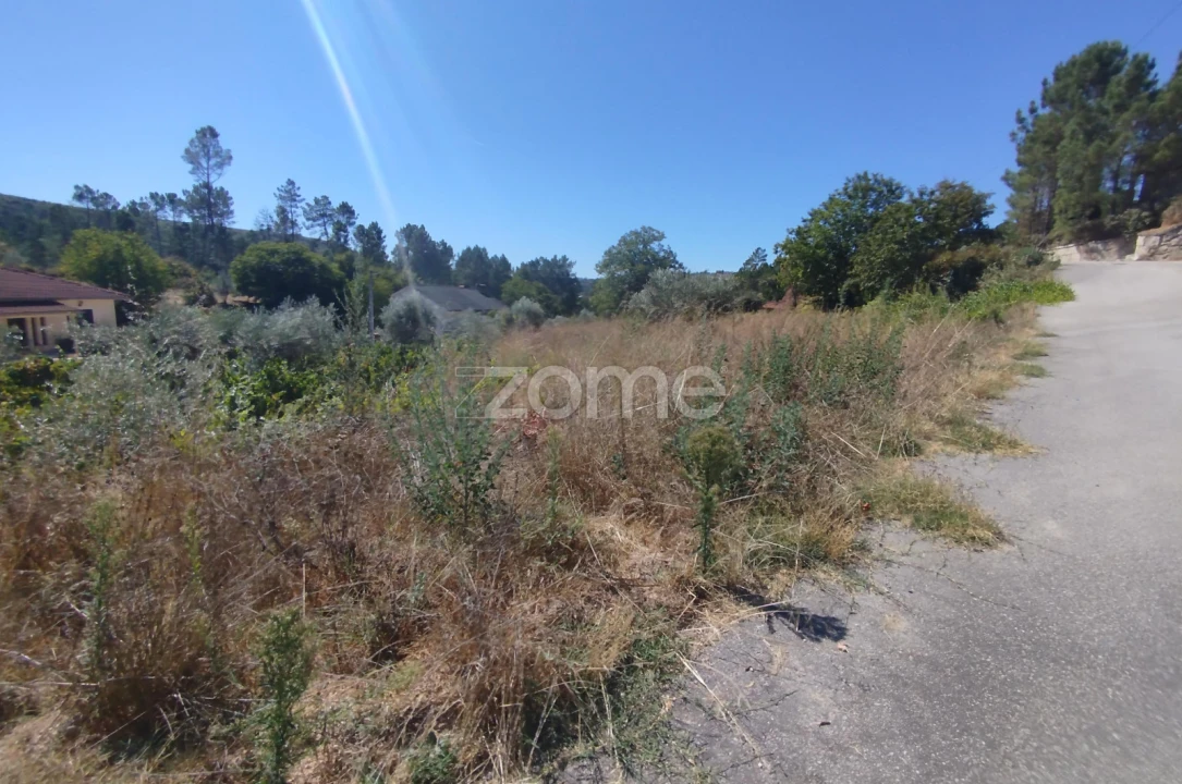 Terreno para Venda em Santos Evos Foto 16