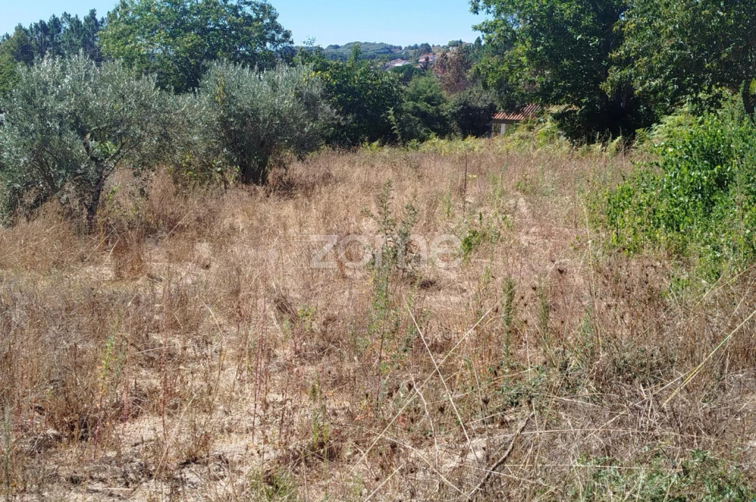 Terreno para Venda em Santos Evos Foto 17
