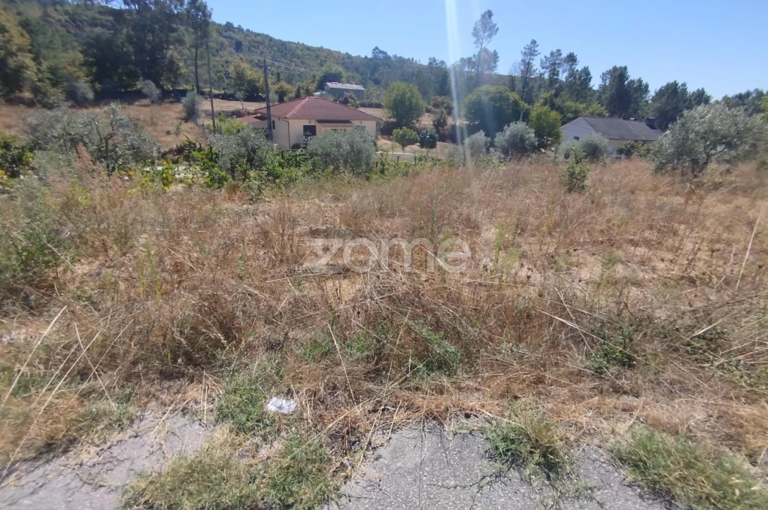 Terreno para Venda em Santos Evos Foto 22