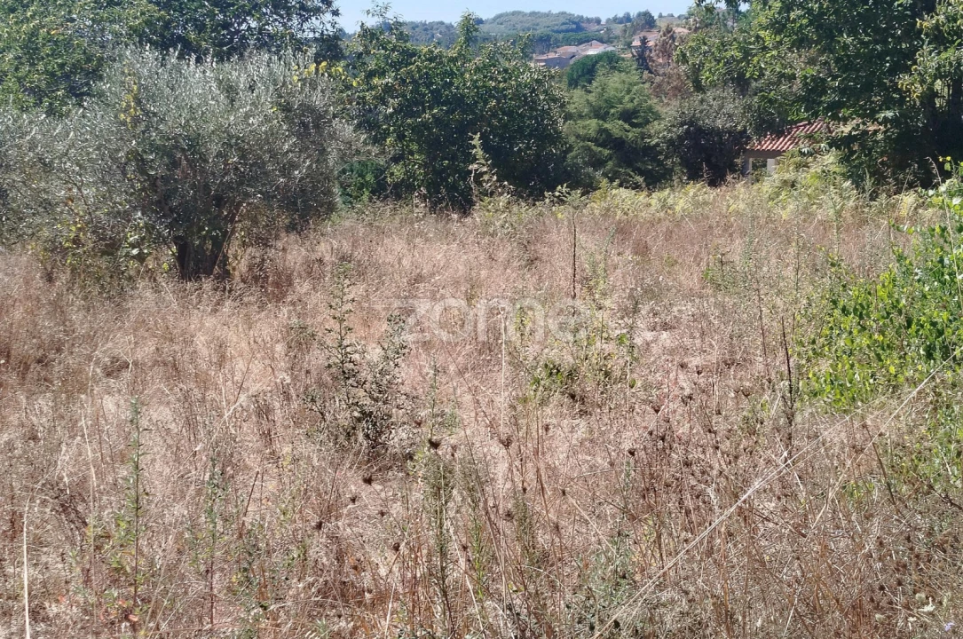 Terreno para Venda em Santos Evos Foto 27