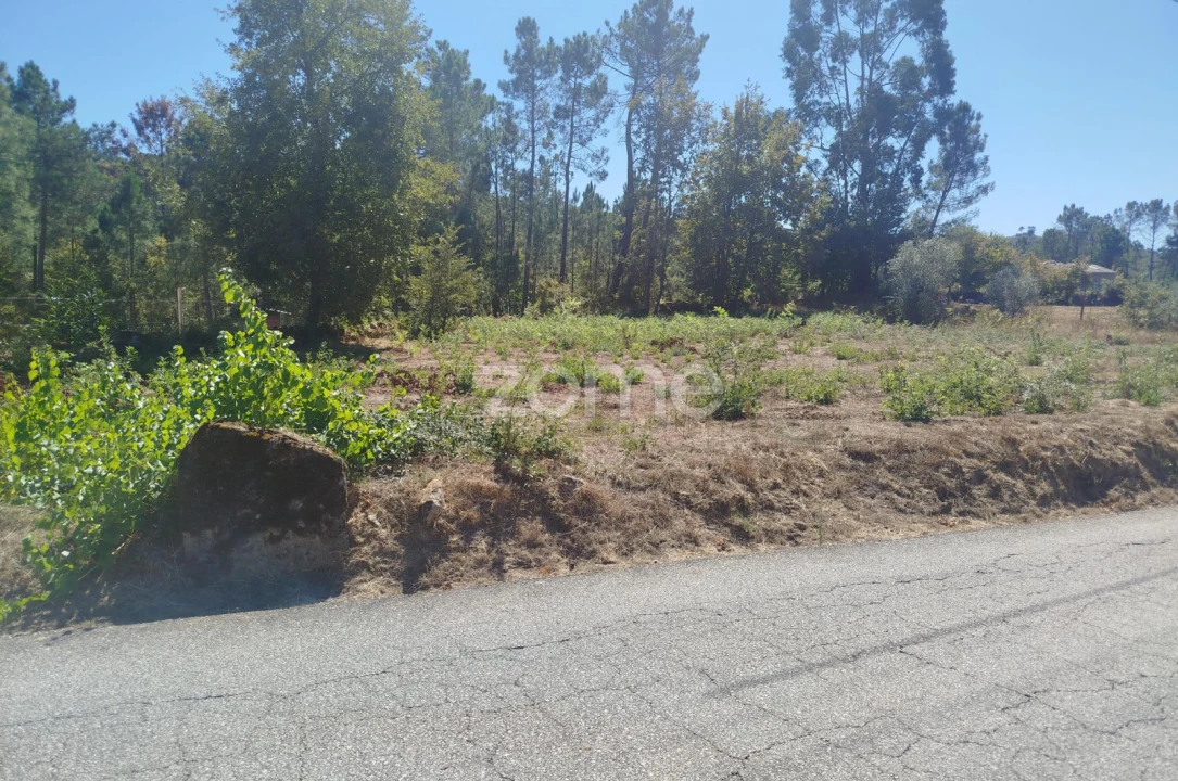 Terreno para Venda em Santos Evos Foto 30