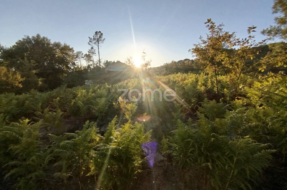 Terreno para Venda em Santos Evos Foto 36