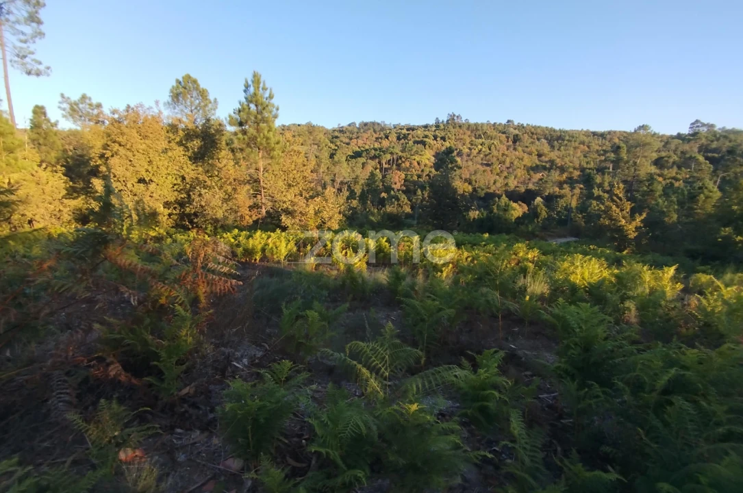 Terreno para Venda em Santos Evos Foto 45