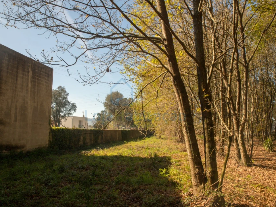 Terreno Comércio / Armazém para Venda em Merelim (São Paio), Panoias e Parada de Tibães Foto 29