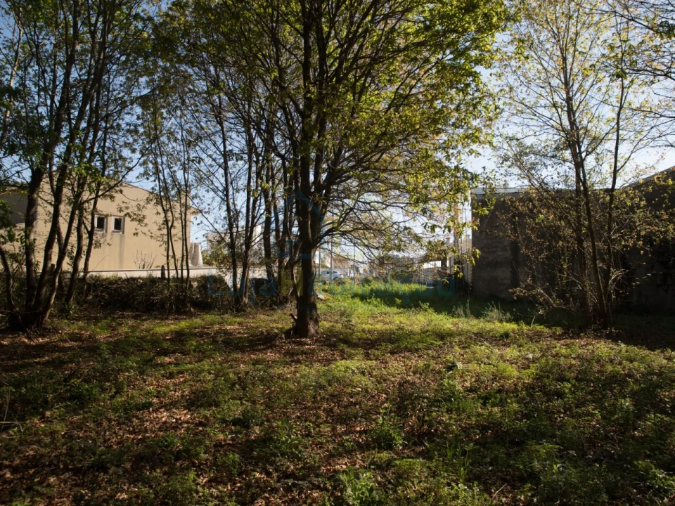Terreno Comércio / Armazém para Venda em Merelim (São Paio), Panoias e Parada de Tibães Foto 8