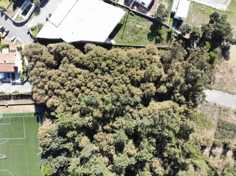 Terreno Comércio / Armazém para Venda em Merelim (São Paio), Panoias e Parada de Tibães Foto 7