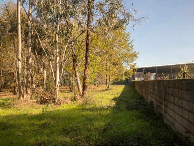 Terreno Comércio / Armazém para Venda em Merelim (São Paio), Panoias e Parada de Tibães Foto 31