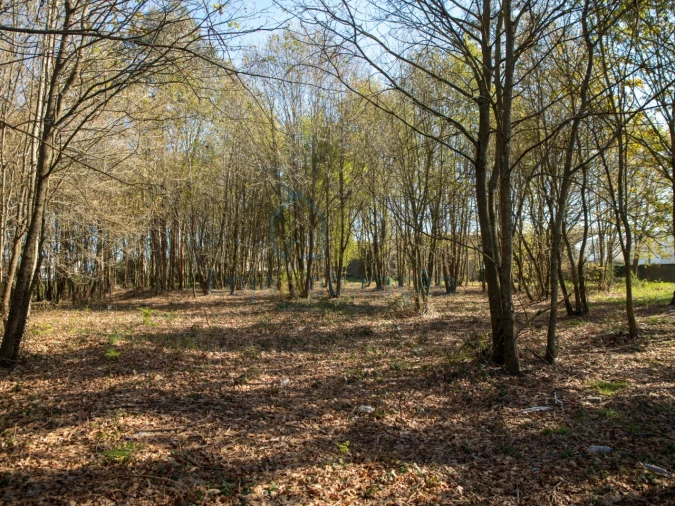 Terreno Comércio / Armazém para Venda em Merelim (São Paio), Panoias e Parada de Tibães Foto 40