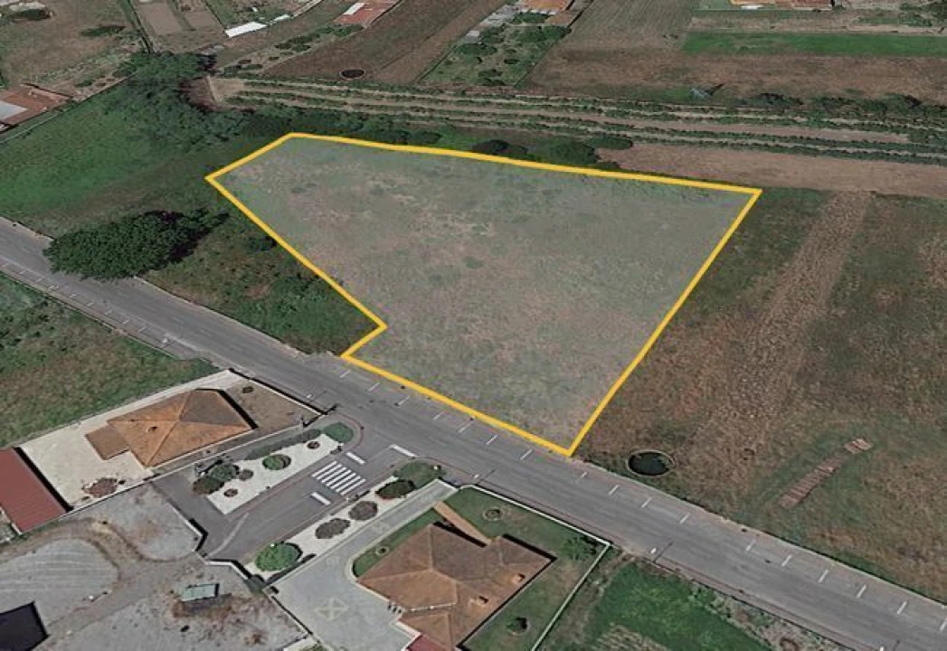 Terreno Agricola ou Rústico para Venda em Bustos, Troviscal e Mamarrosa Foto 3