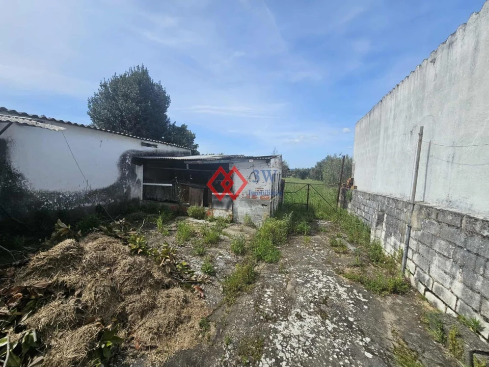 Moradia T4 para Venda em Pego Foto 31